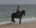 На лошади хоть по берегу моря можно прокатиться